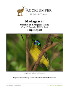 Madagascar Wildlife of a Magical Island 8Th to 19Th November 2018 (12 Days) Trip Report