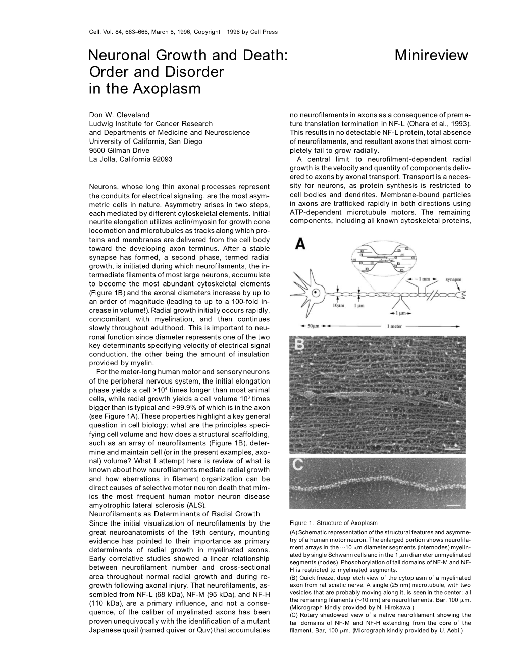 Neuronal Growth and Death: Minireview Order and Disorder in the Axoplasm