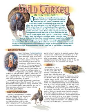 Wild Turkey Brochure (PDF)