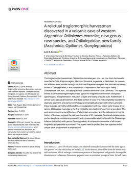 A Relictual Troglomorphic Harvestman Discovered in A