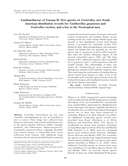 Cantharellaceae of Guyana II: New Species of Craterellus, New South