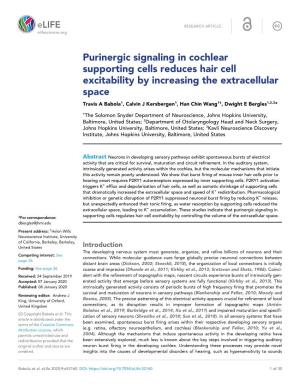 Purinergic Signaling in Cochlear Supporting Cells Reduces Hair