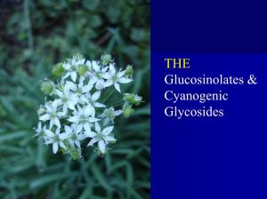 THE Glucosinolates & Cyanogenic Glycosides