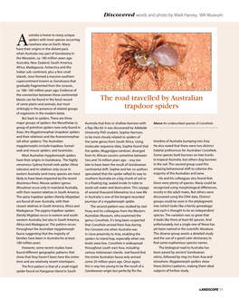 The Road Travelled by Australian Trapdoor Spiders