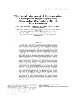 Morphological and Histological Correlates of Novel Skin Structures