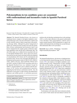 Polymorphisms in Ten Candidate Genes Are Associated with Conformational and Locomotive Traits in Spanish Purebred Horses