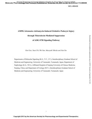 AMPK Attenuates Adriamycin-Induced Oxidative Podocyte Injury