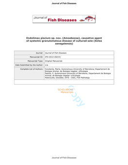 Endolimax Nana and Iodamoeba Spp ., and We Tentatively Describe It As a New Species in The