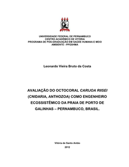 Como Engenheiro Ecossistêmico Da Praia De Porto De Galinhas – Pernambuco, Brasil