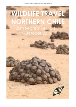 Wildlife Travel Chile 2019