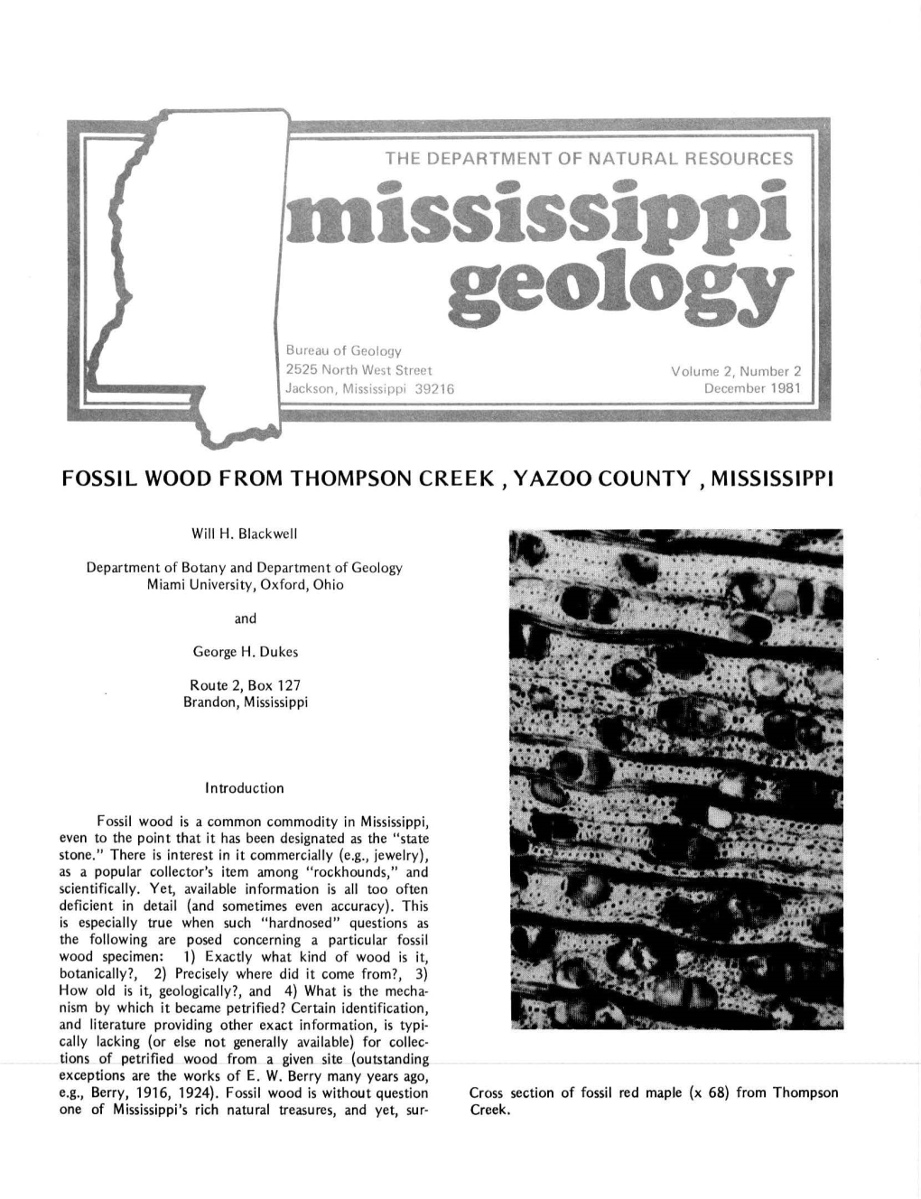 Mississippi Geology 2