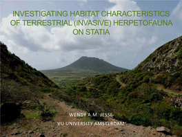 Investigating Habitat Characteristics of Terrestrial (Invasive) Herpetofauna on Statia