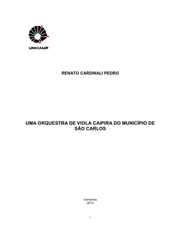Uma Orquestra De Viola Caipira Do Município De São Carlos
