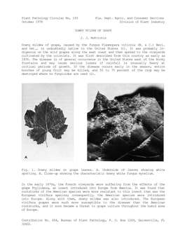 Plant Pathology Circular No, 193 Fla. Dept. Agric. and Consumer Services October 1978 Division of Plant Industry