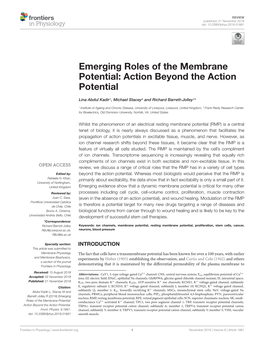 Emerging Roles of the Membrane Potential: Action Beyond the Action Potential