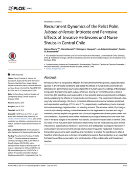 Recruitment Dynamics of the Relict Palm, Jubaea Chilensis: Intricate and Pervasive Effects of Invasive Herbivores and Nurse Shrubs in Central Chile