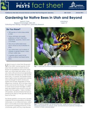 Gardening for Native Bees in Utah and Beyond James H