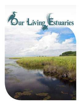 Our Living Estuaries