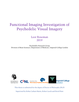 Functional Imaging Investigation of Psychedelic Visual Imagery