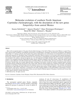 Molecular Evolution of Southern North American Cyprinidae (Actinopterygii), with the Description of the New Genus Tampichthys from Central Mexico