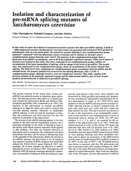 Isolation and Characterization of Pre-Mrna Splicing Mutants of Saccharomyces Cerevisiae