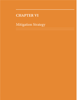 CHAPTER VI Mitigation Strategy