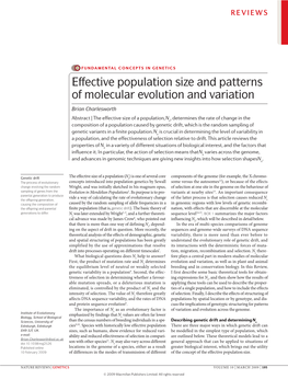 Effective Population Size and Patterns of Molecular Evolution and Variation