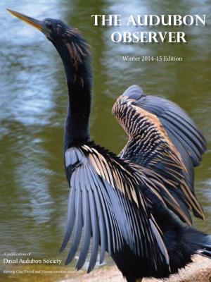 The Audubon Observer