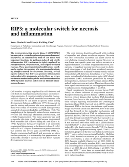 RIP3: a Molecular Switch for Necrosis and Inflammation