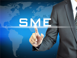 SME Listing                           Understanding the Business As a Part of Due Diligence Model of the Issuer Site Visit Is Conducted