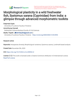 From India: a Glimpse Through Advanced Morphometric Toolkits
