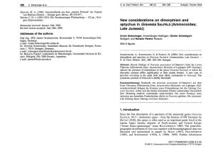New Considerations on Dimorphism and Aptychus in Gravesia SALFELD