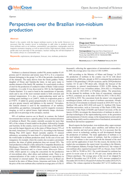 Perspectives Over the Brazilian Iron-Niobium Production
