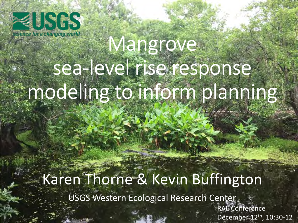 Mangrove Elevation-Sea Level Rise Response Model