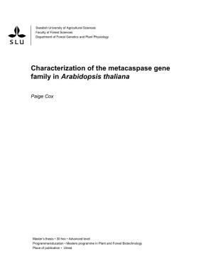 Characterization of the Metacaspase Gene Family in Arabidopsis Thaliana