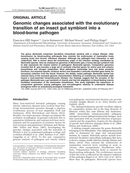 Genomic Changes Associated with the Evolutionary Transition of an Insect Gut Symbiont Into a Blood-Borne Pathogen