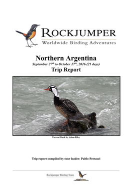 Northern Argentina September 27Th to October 17Th, 2016 (21 Days) Trip Report