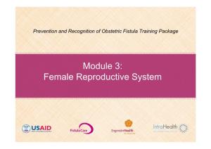 Female Reproductive System External Female Reproductive Organs Internal Female Reproductive Organs Menstrual Cycle