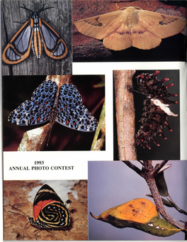 Lepidoptera: Sphingidae