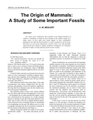 The Origin of Mammals: a Study of Some Important Fossils