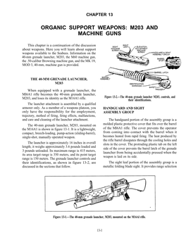 Organic Support Weapons: M203 and Machine Guns