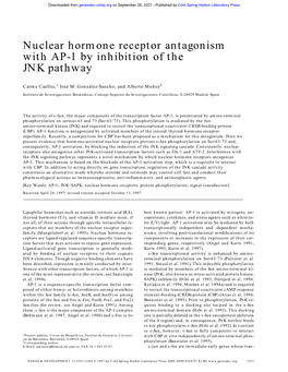 Nuclear Hormone Receptor Antagonism with AP-1 by Inhibition of the JNK Pathway