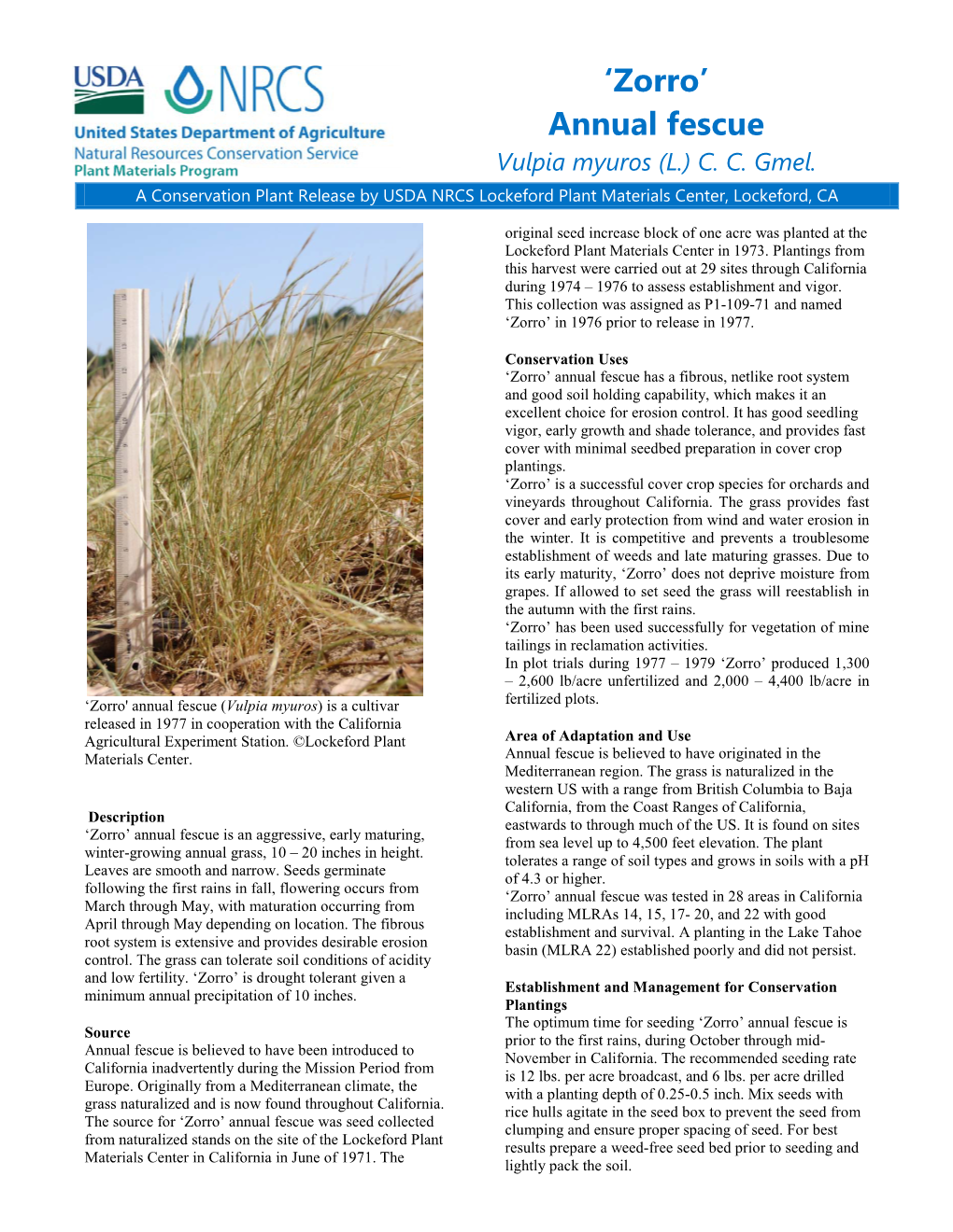 'Zorro' Annual Fescue (Vulpia Myuros) Conservation Plant Release Brochure