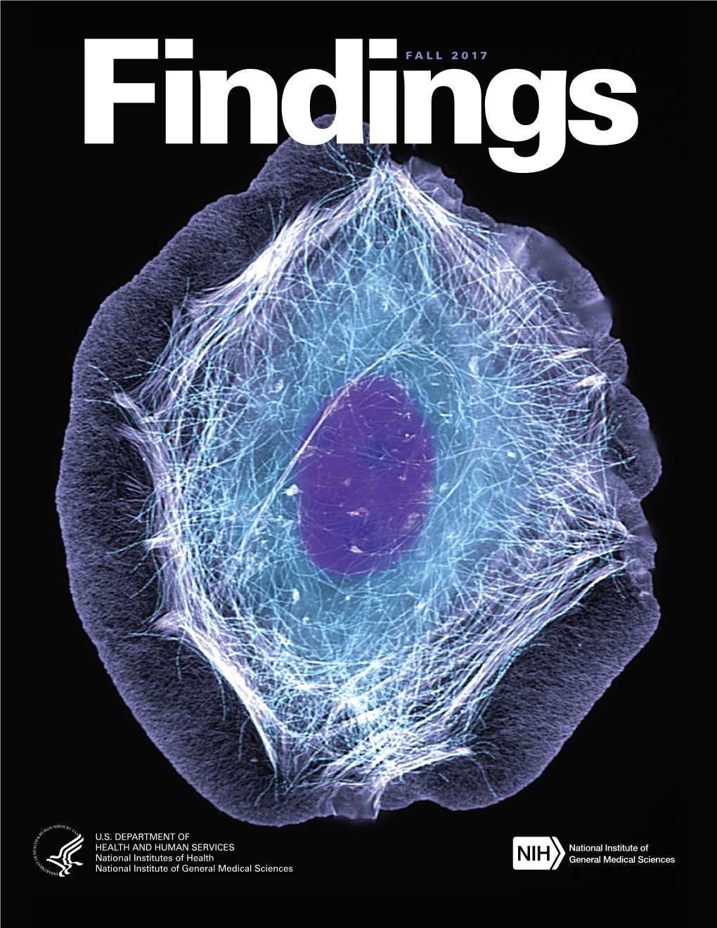 Findings Magazine