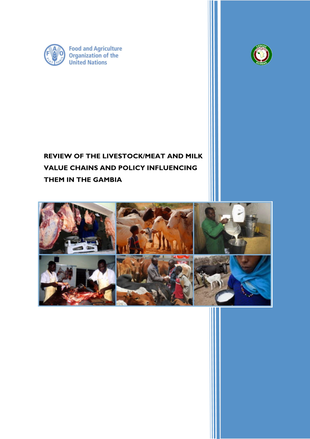 Review of the Livestock/Meat and Milk Value Chains and Policy Influencing Them in the Gambia