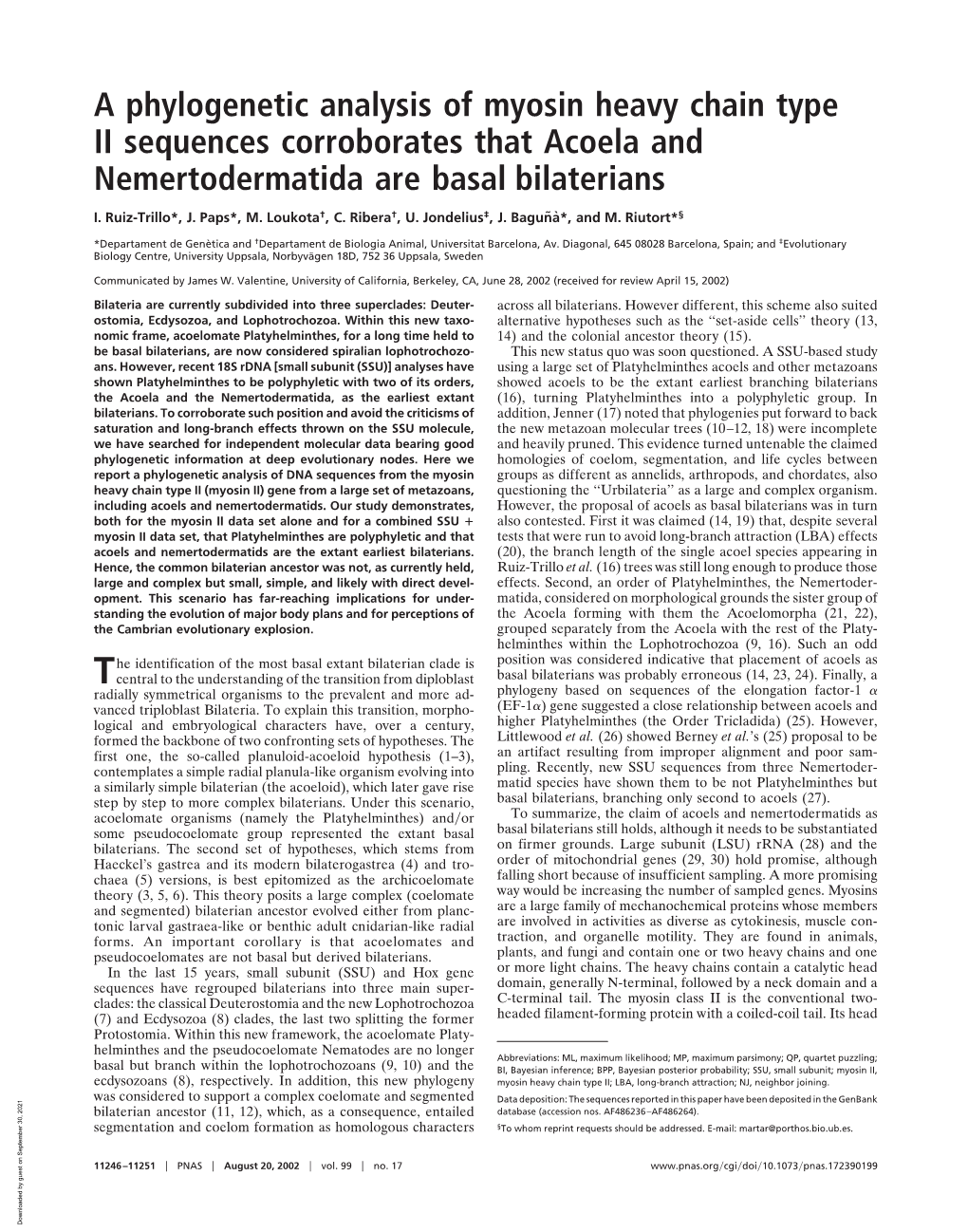 A Phylogenetic Analysis of Myosin Heavy Chain Type II Sequences Corroborates That Acoela and Nemertodermatida Are Basal Bilaterians