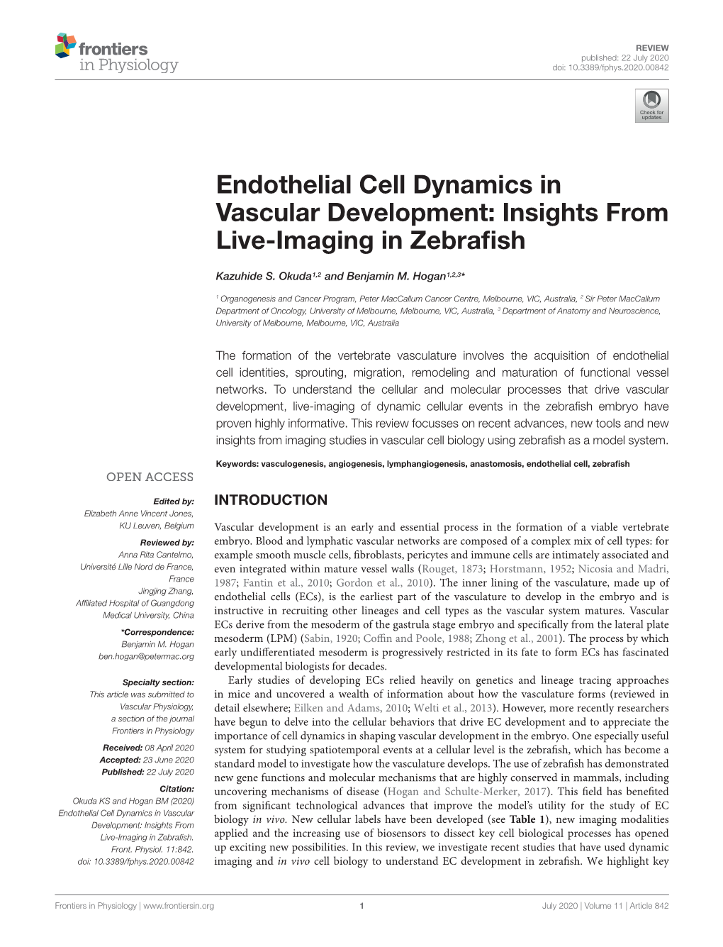 Endothelial Cell Dynamics in Vascular Development: Insights from Live-Imaging in Zebraﬁsh