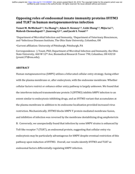 Opposing Roles of Endosomal Innate Immunity Proteins IFITM3 and TLR7 in Human Metapneumovirus Infection