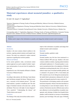 Maternal Experiences About Neonatal Jaundice: a Qualitative Study