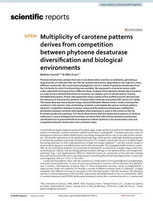 Multiplicity of Carotene Patterns Derives from Competition Between